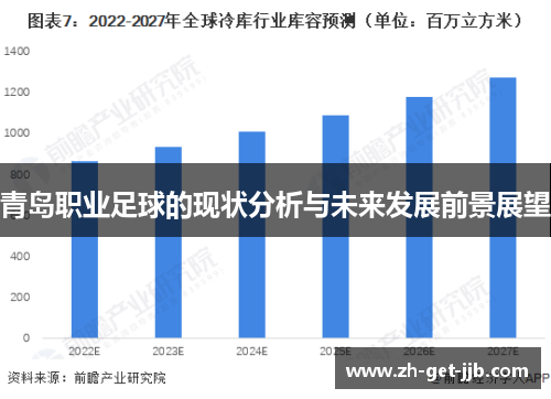 青岛职业足球的现状分析与未来发展前景展望 青岛职业足球的现状分析与未来发展前景展望