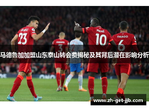 马德鲁加加盟山东泰山转会费揭秘及其背后潜在影响分析